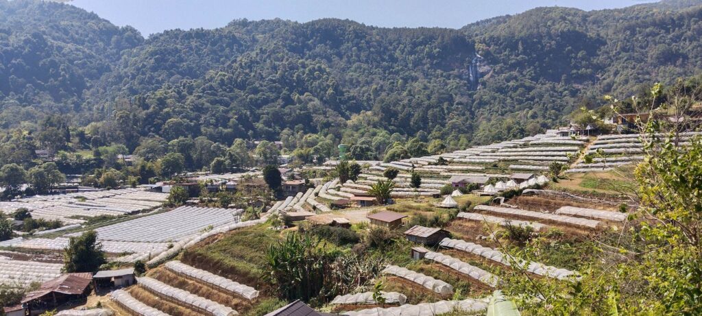 Hmong village farmland